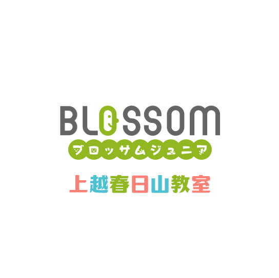 Blossom ソーシャルスキル 個別療育教室 ブロッサムジュニア上越春日山教室